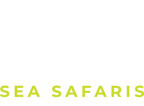 Sea Safaris Sailing School