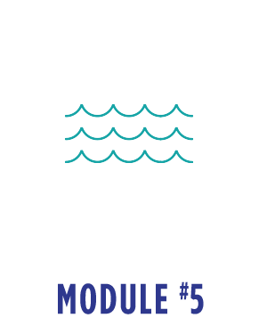 Navigation Rules Pro Module 5